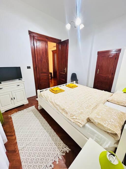 Hidden Gem In The Old Town Apartment Timisoara Exterior photo